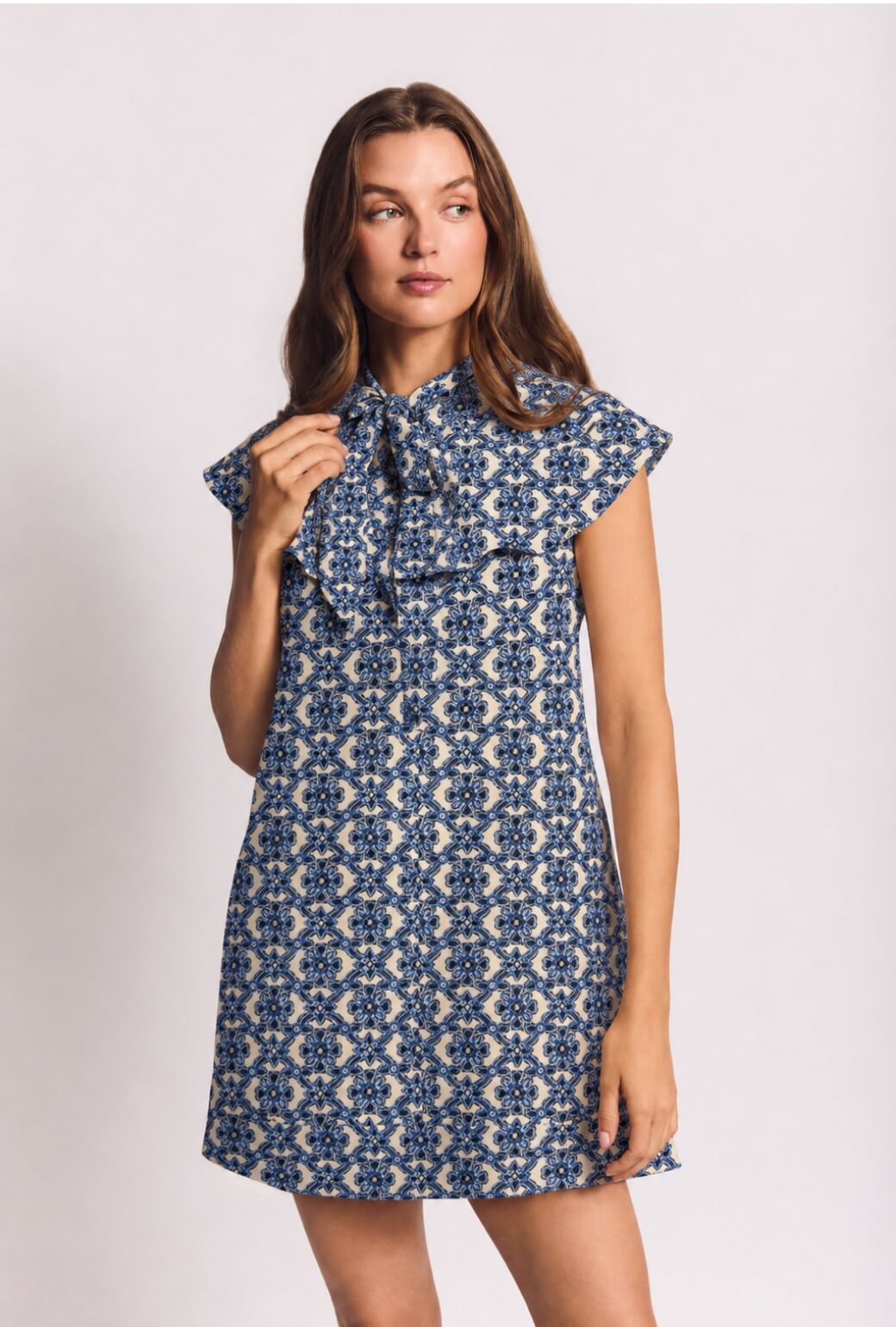Ruffle Collar MINI Dress - Blue Lattice